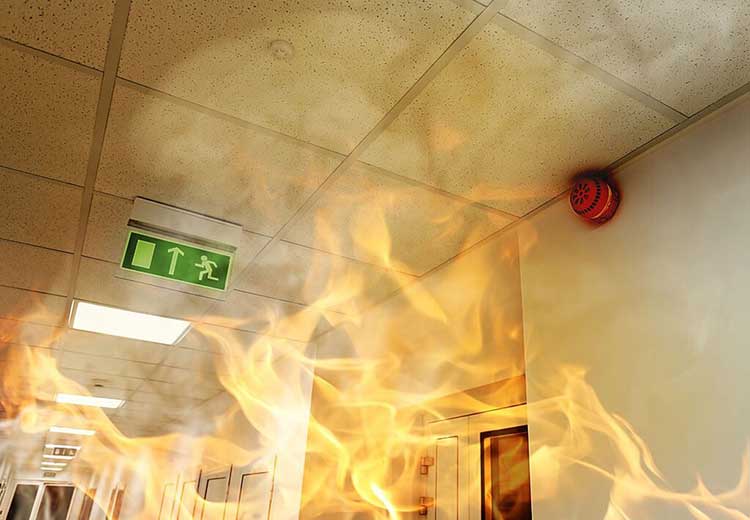 Fire Alarm Importance